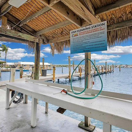 Villa Aruba - Downtown Waterfront 2X2 Dock & Pool Pet-Friendly à Key West Extérieur photo